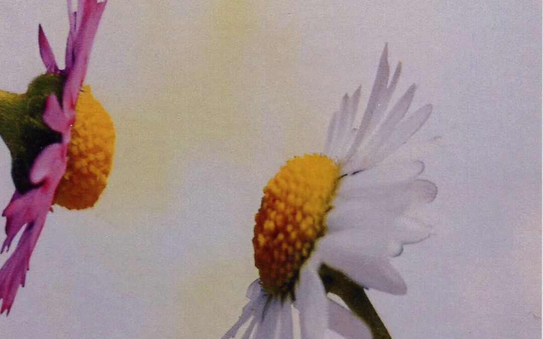 Neue Trauergruppe: Wenn die 2. Generation vor der 1. geht